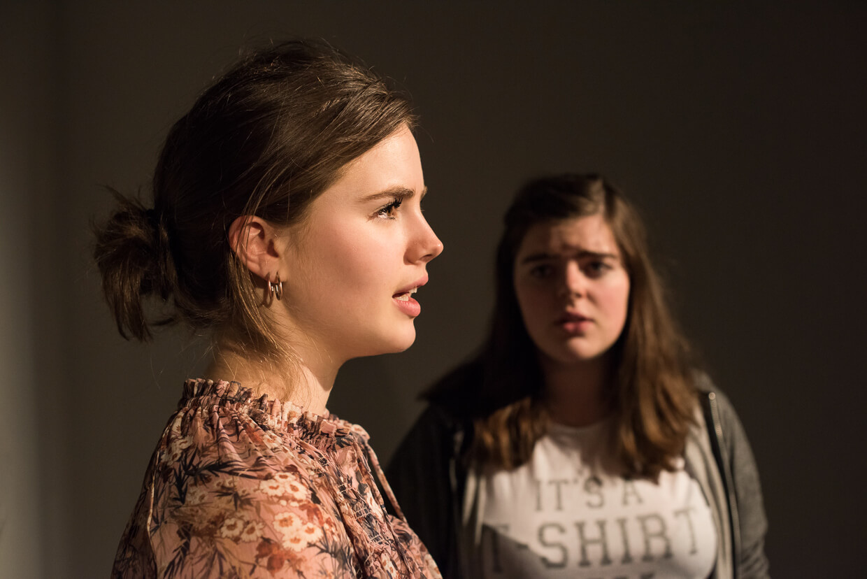 The Eradication of Schizophrenia in Western Lapland