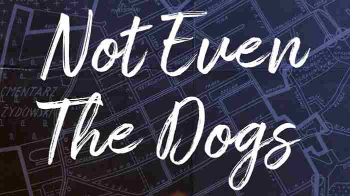 NOT EVEN THE DOGS Rehearsal Diary 1